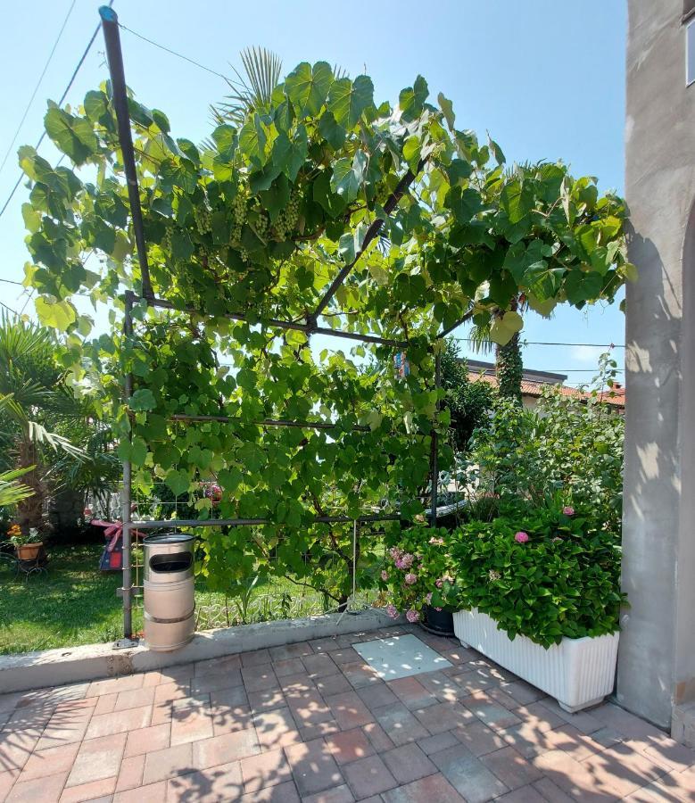 Apartman Palma Marinici  Exterior foto